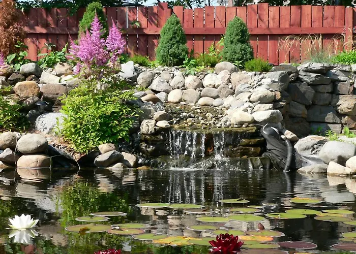 L'Oasis du Pirate
